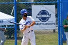 Baseball vs Babson NEWMAC Finals  Wheaton College vs Babson College play in the NEWMAC baseball championship finals. - (Photo by Keith Nordstrom) : Wheaton, baseball, NEWMAC, Babson